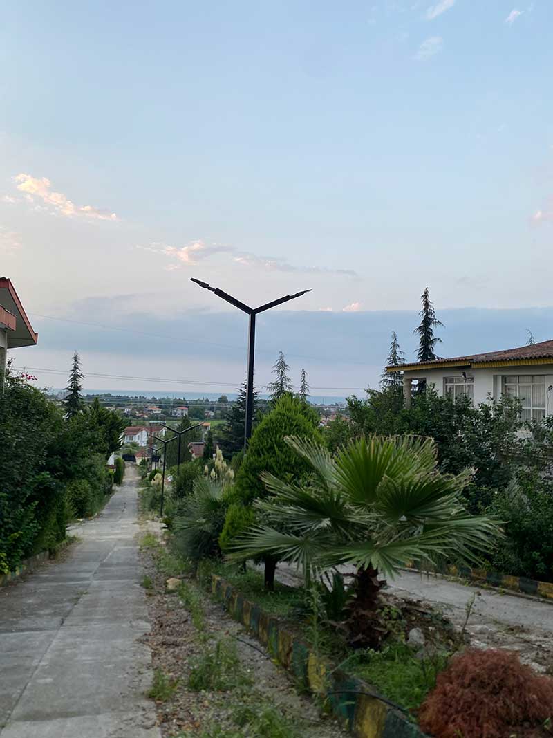 زمین پلاک صفر جنگل