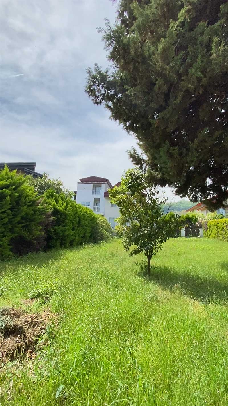 زمین شمالی جنوبی
