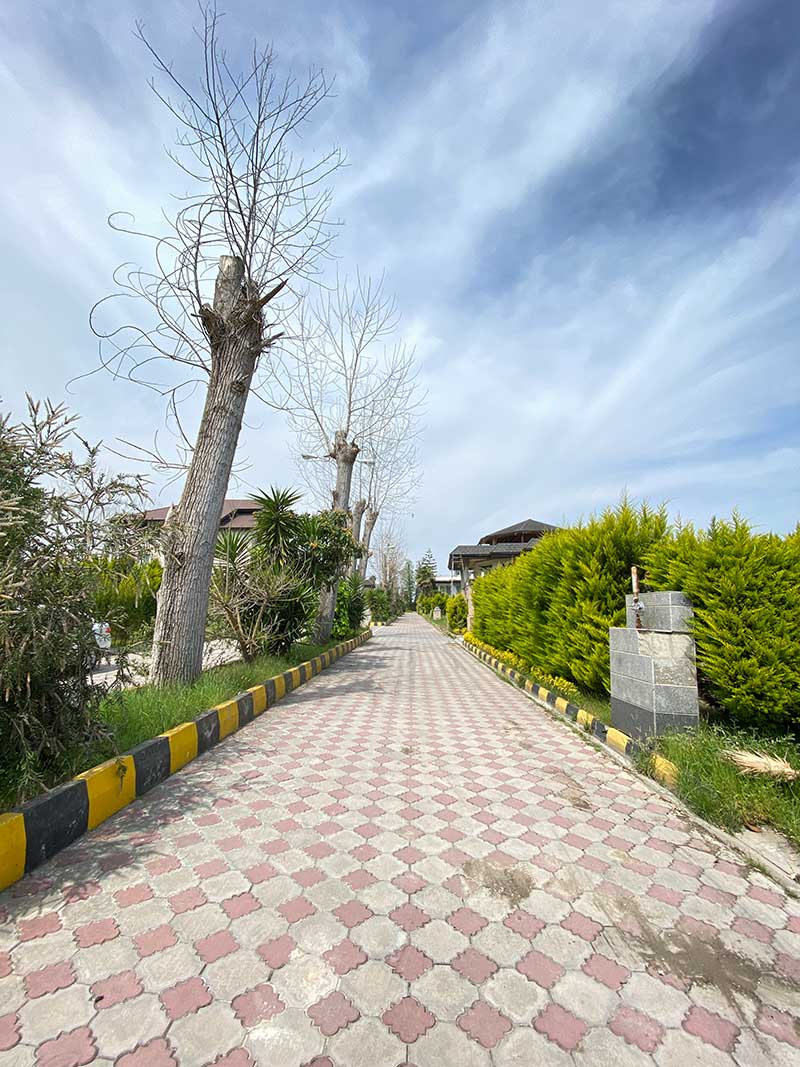 زمین شمالی جنوبی
