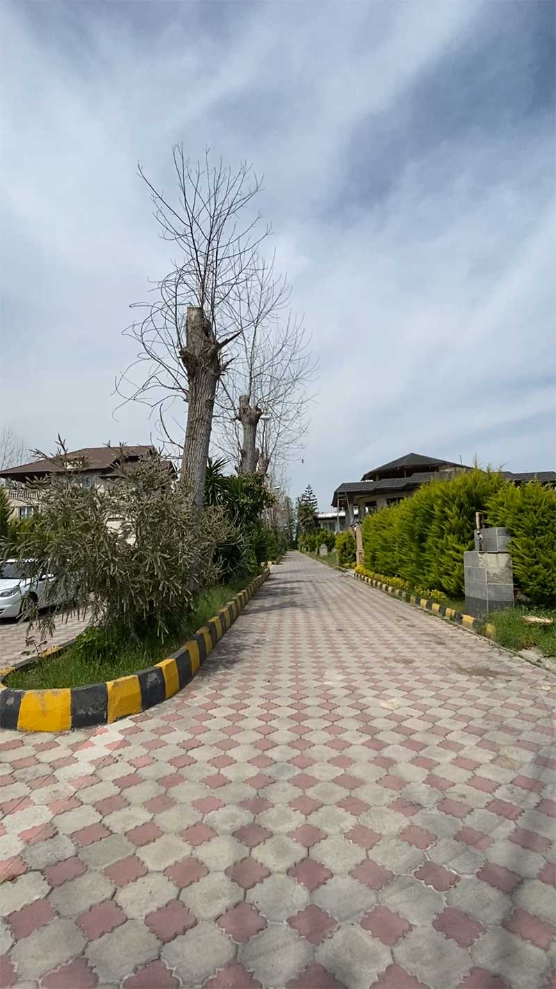 زمین شمالی جنوبی