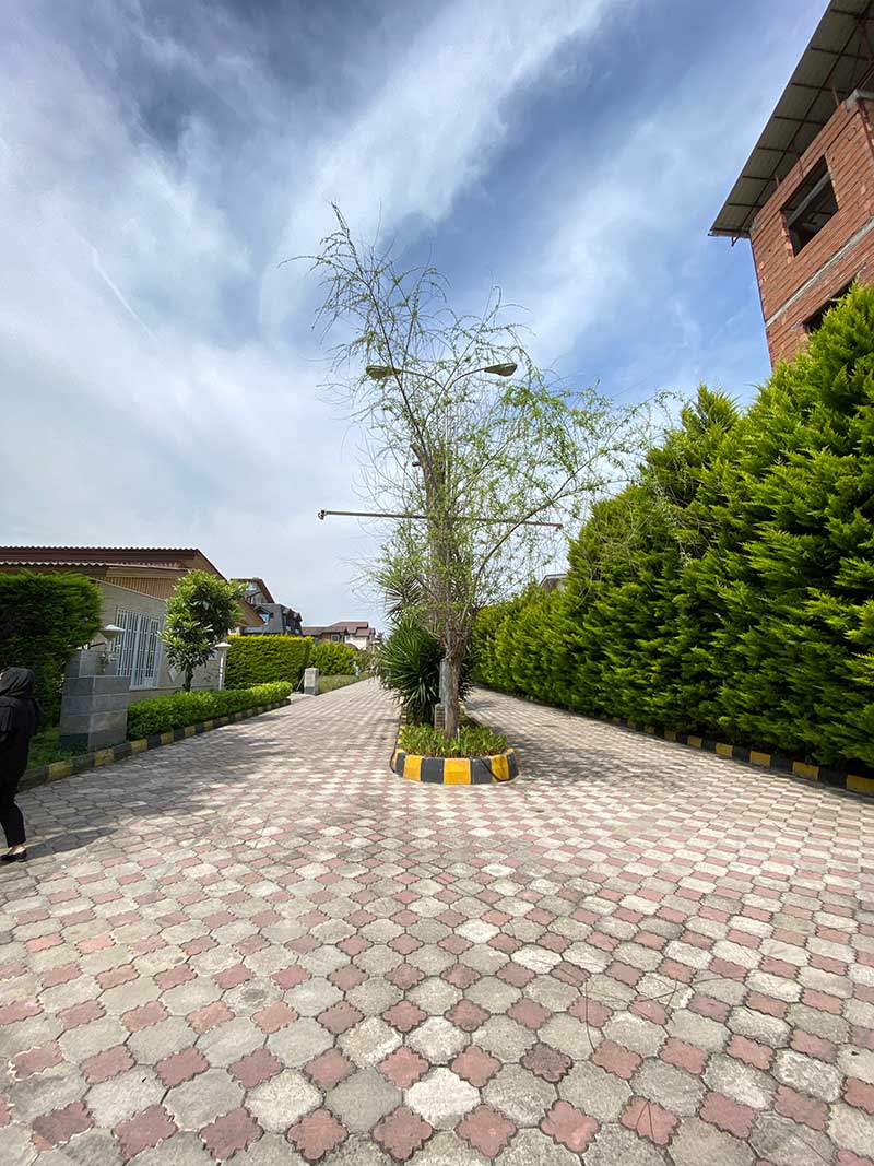 زمین شمالی جنوبی