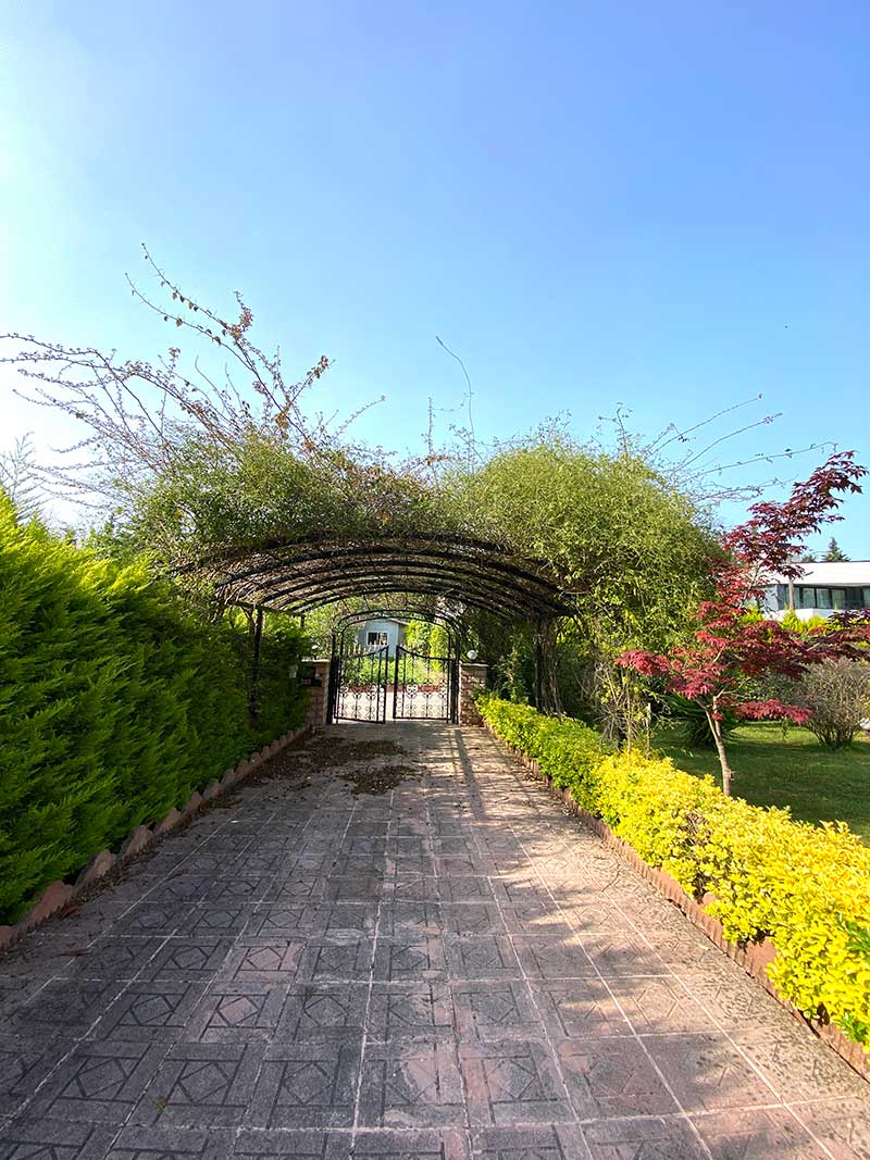 شهرک سرو نقره ای