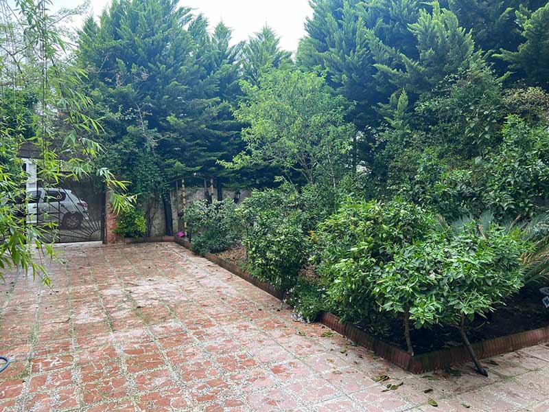 لتینگان نوشهر