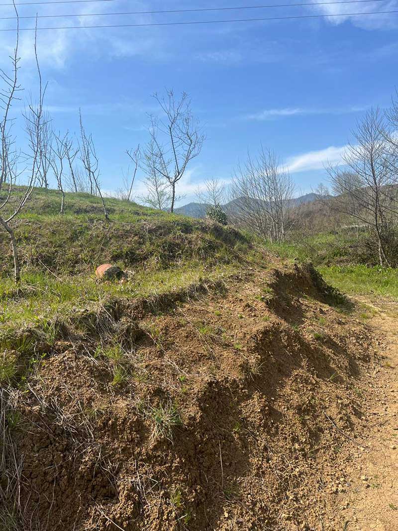 ۶۰۰۰ هزار متر زمین باغی