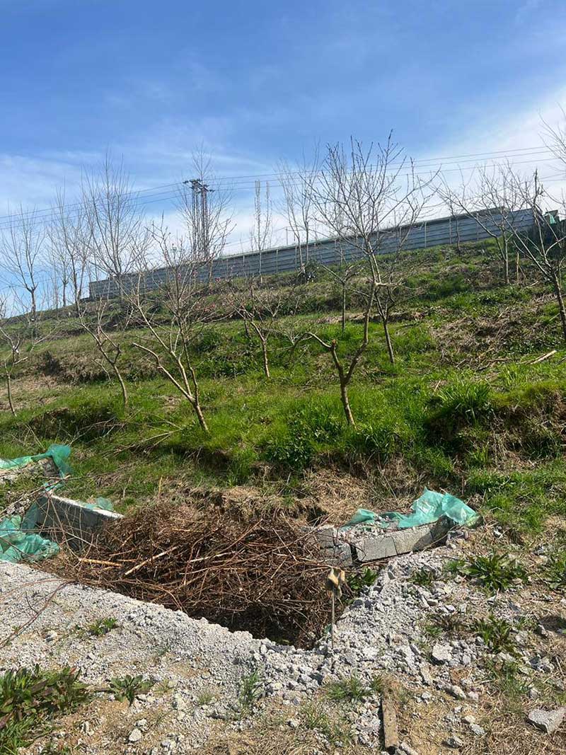 ۶۰۰۰ هزار متر زمین باغی