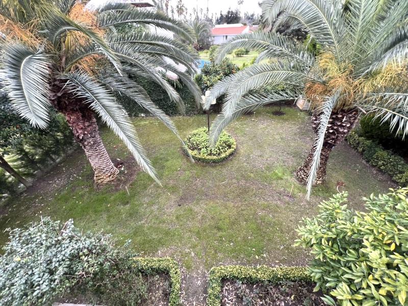 فرنیش کامل