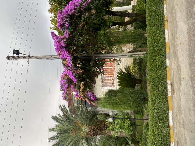 فروش باغ ویلای شهرکی چلک