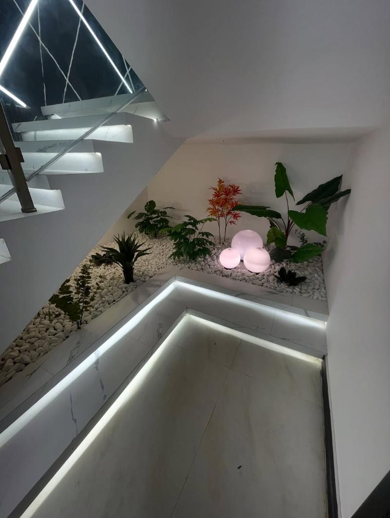 فول فرنیش درجه یک و فول